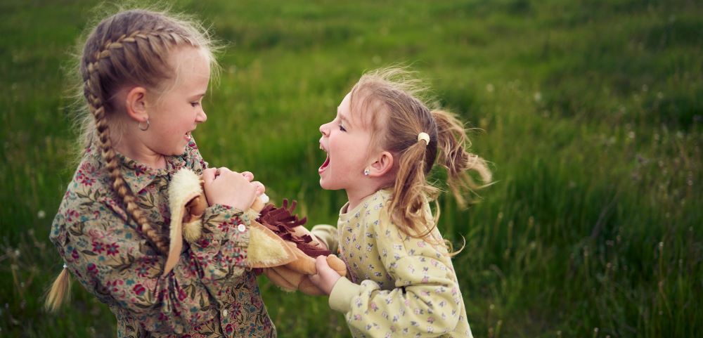Post thumbnail Anticiper et accompagner les débordements émotionnels des enfants de 2 à 6 ans – Présentiel